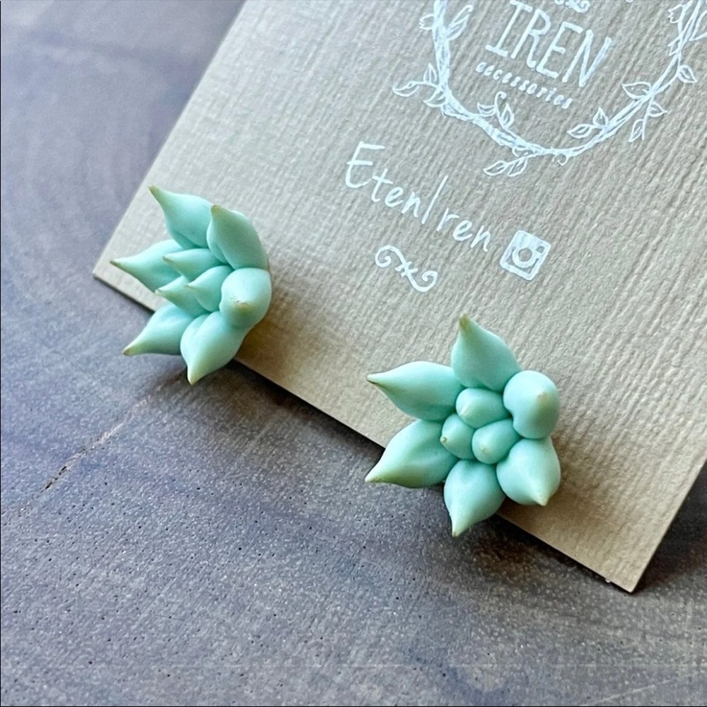 Handmade Succulents Blue Green Stud Earrings Ukraine